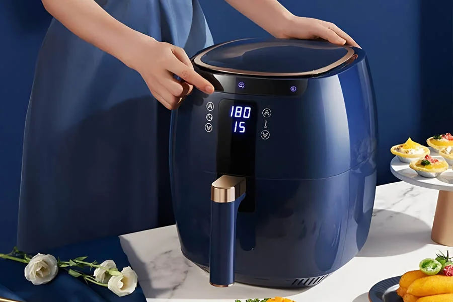 professional air fryer