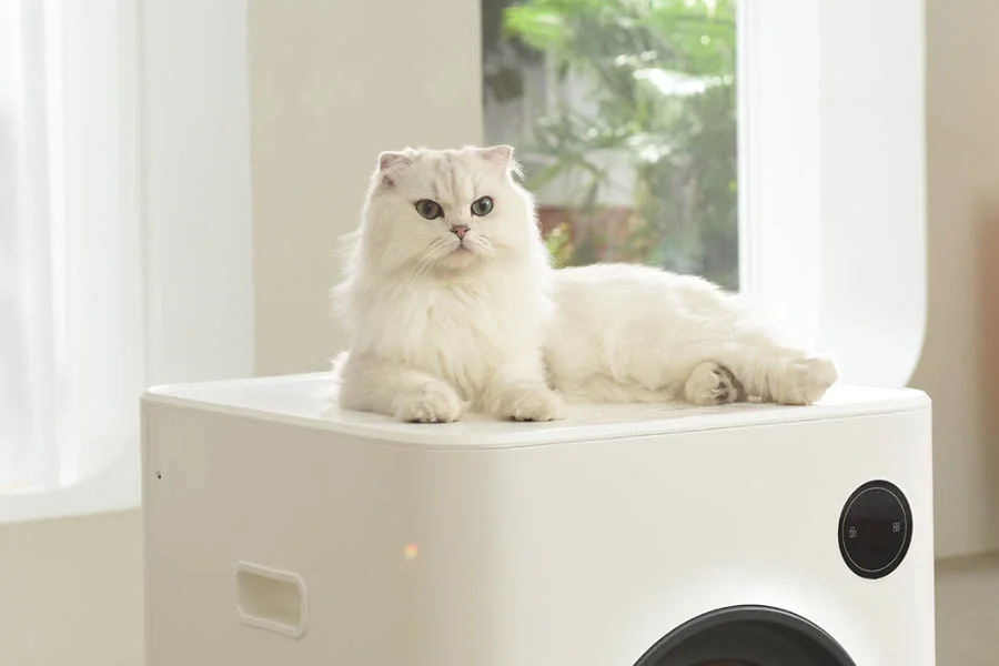 automatic cat litterbox