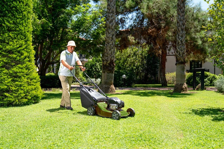 top ranked lawn mowers